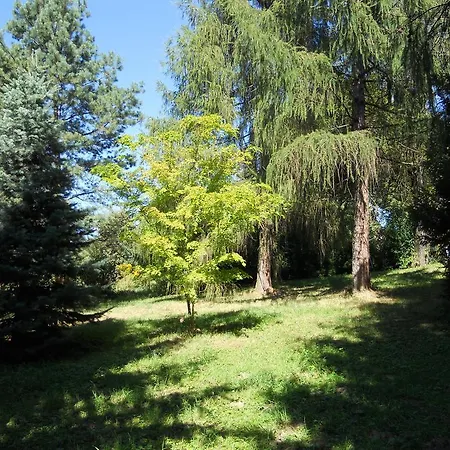 Dwor W Boleniu